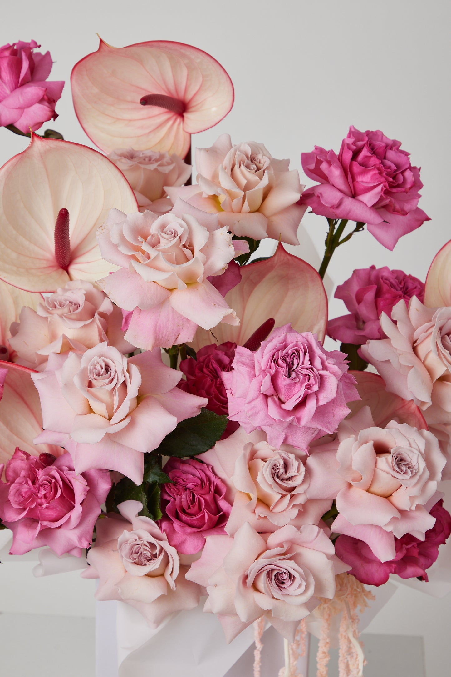 Elegant in Pink