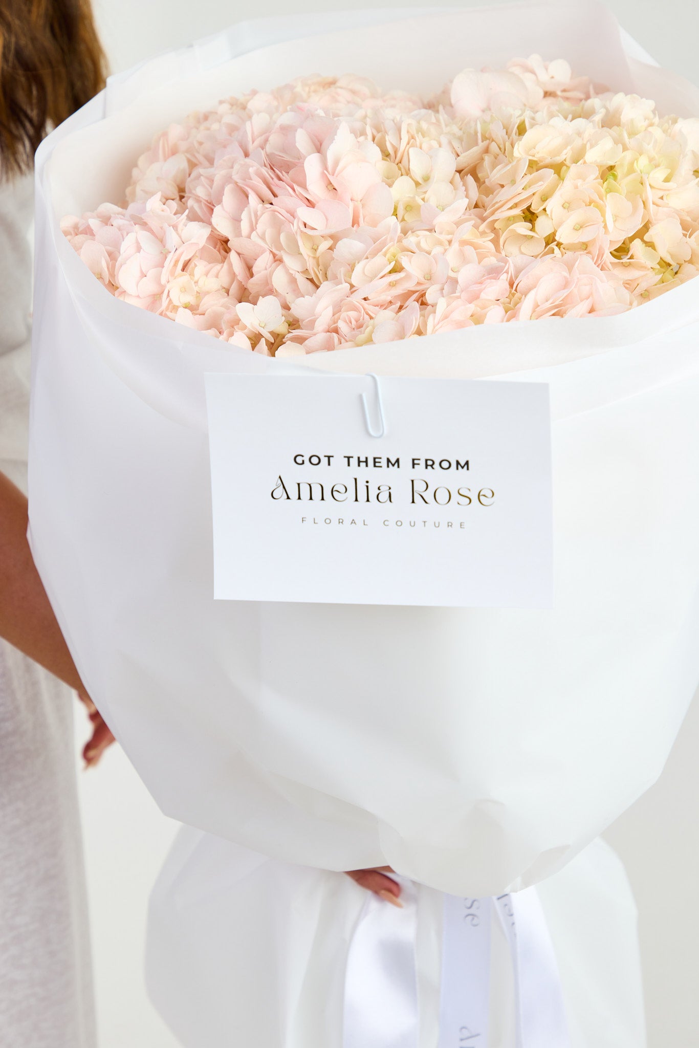 Hydrangeas in Pink