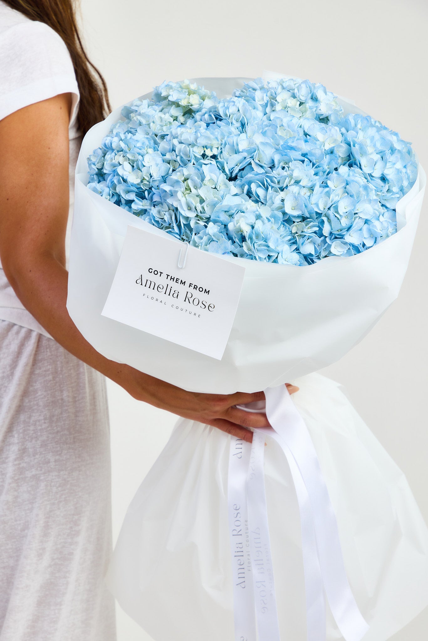 Hydrangeas in Blue
