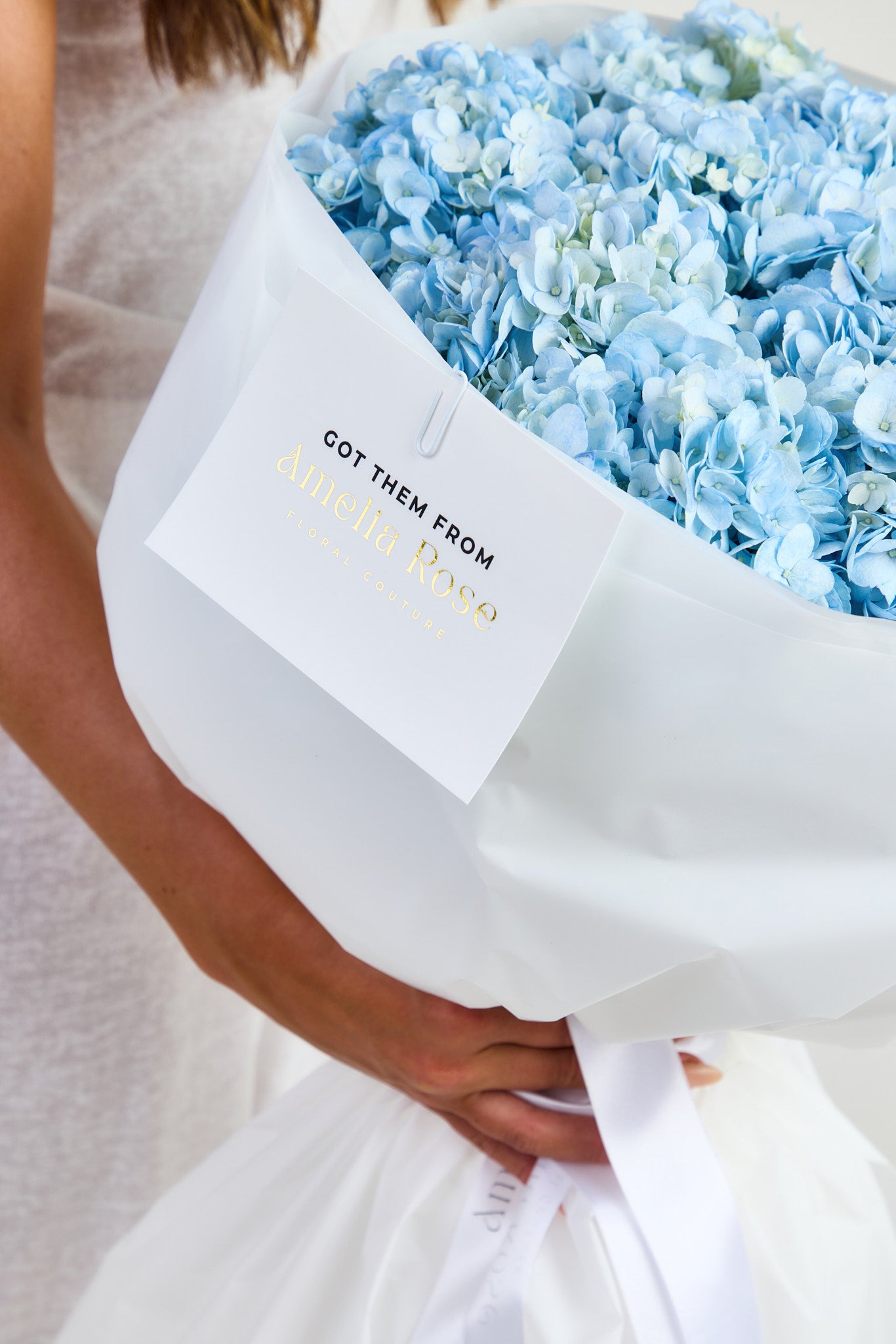 Hydrangeas in Blue