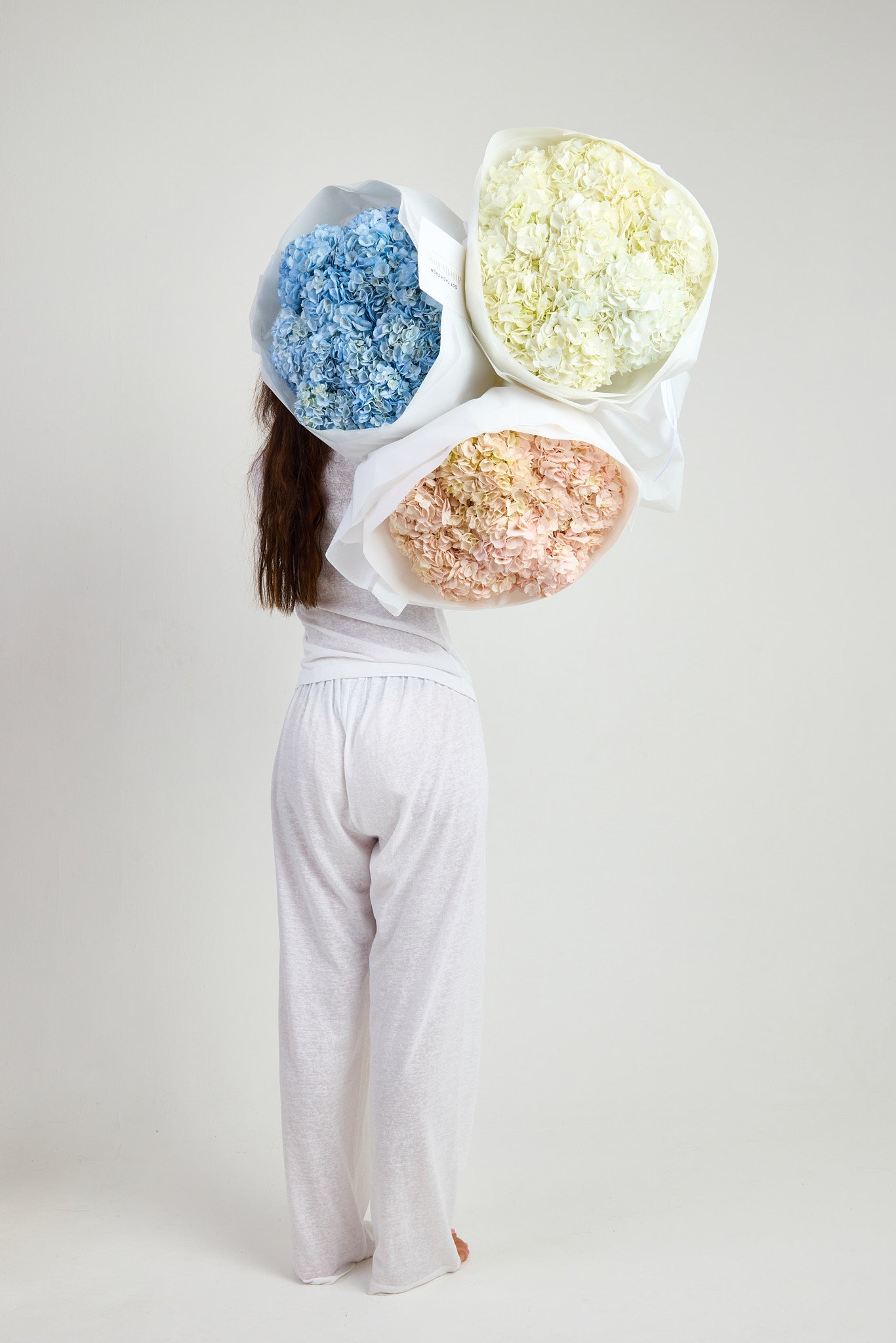 Hydrangeas in Blue