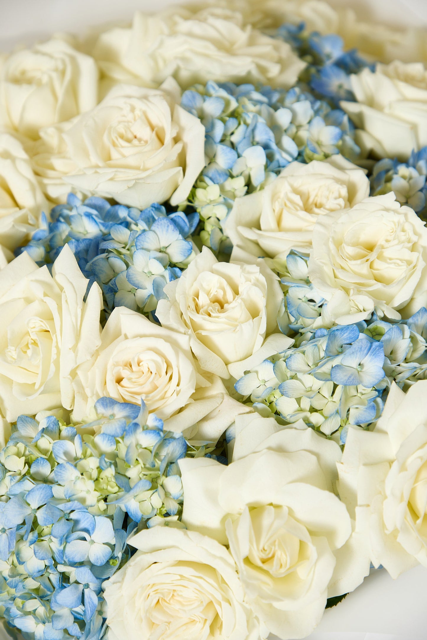 How to Make Cut Flowers Last Longer: A Florist's Guide