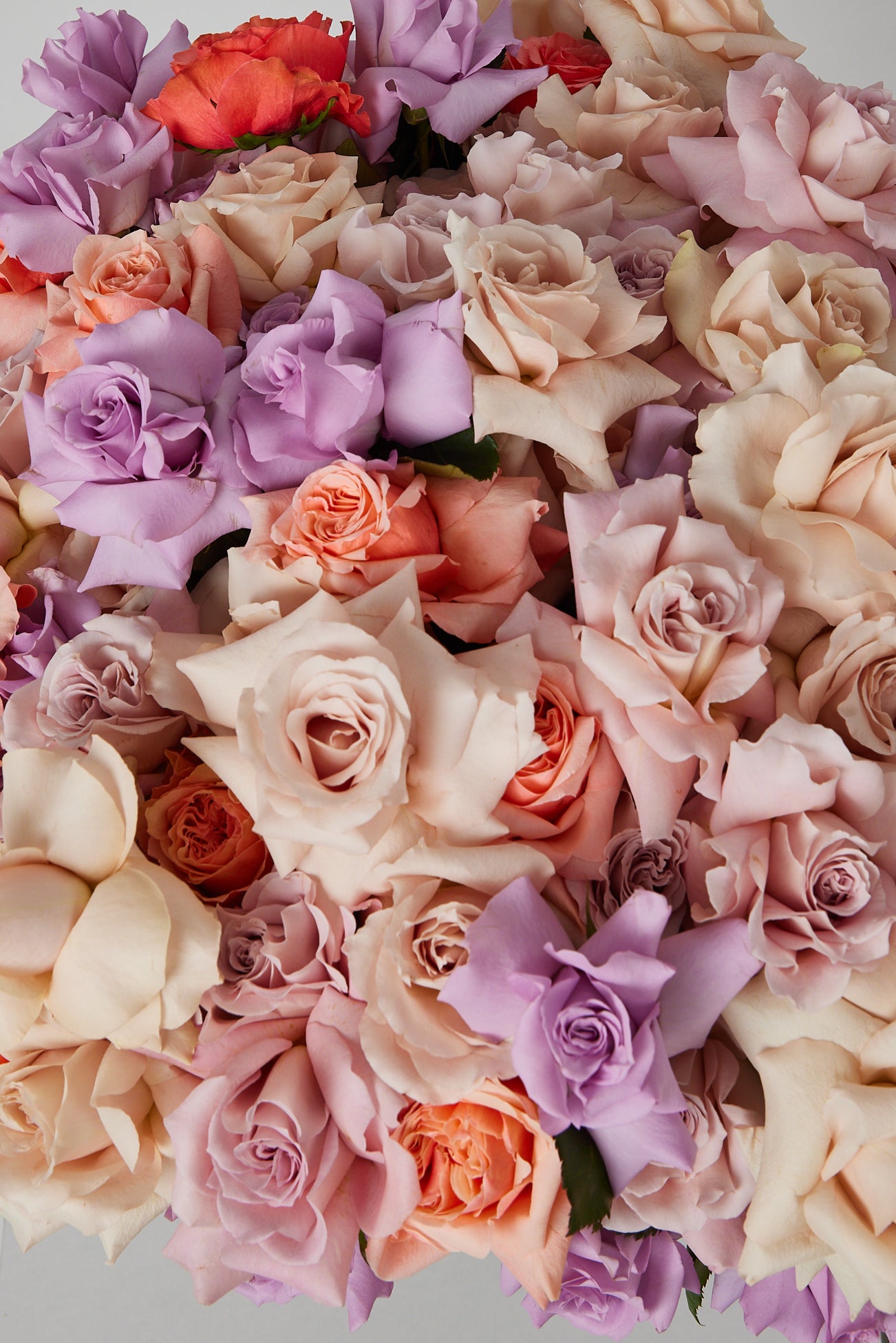 100 Mixed Roses