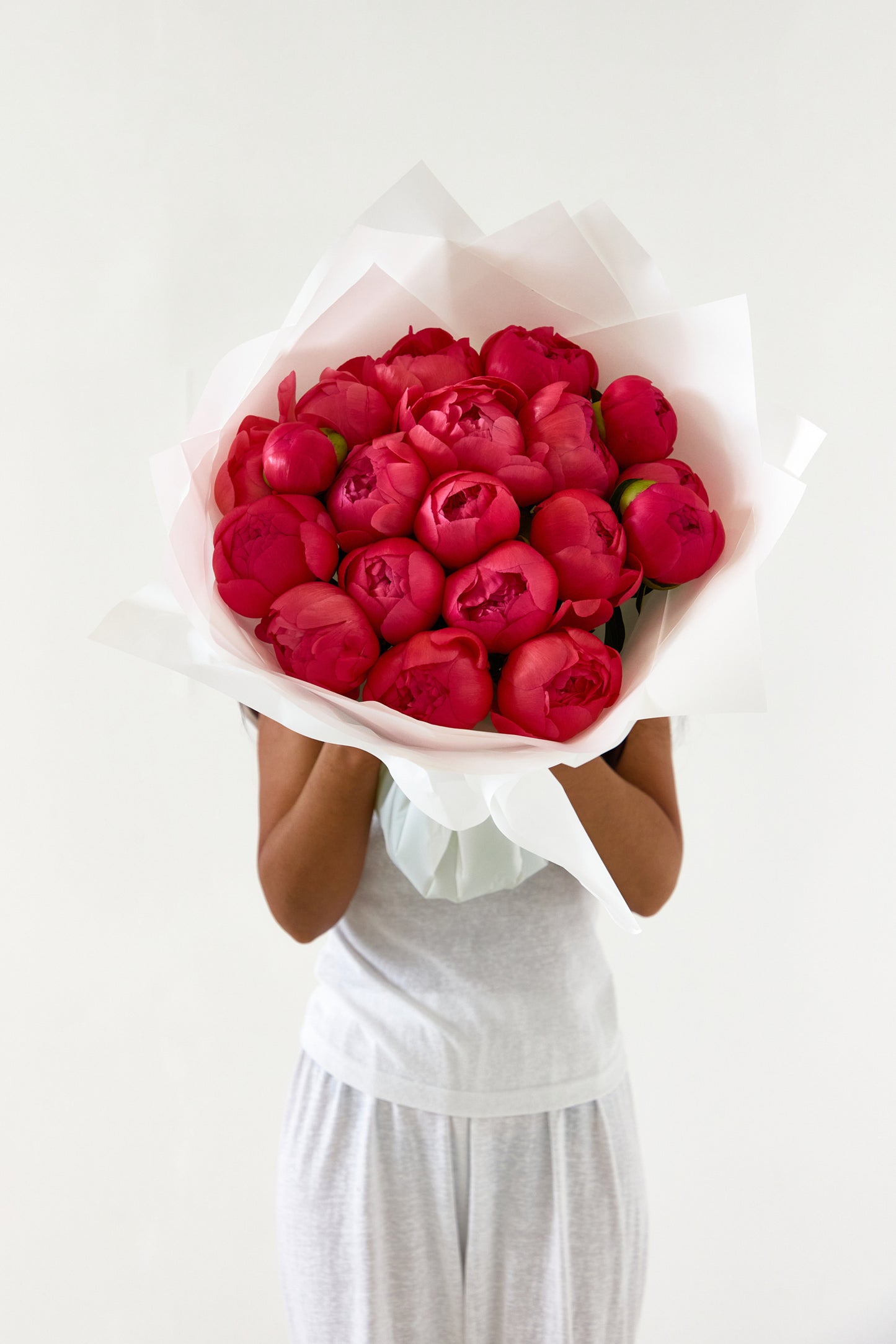 Peony in Pink