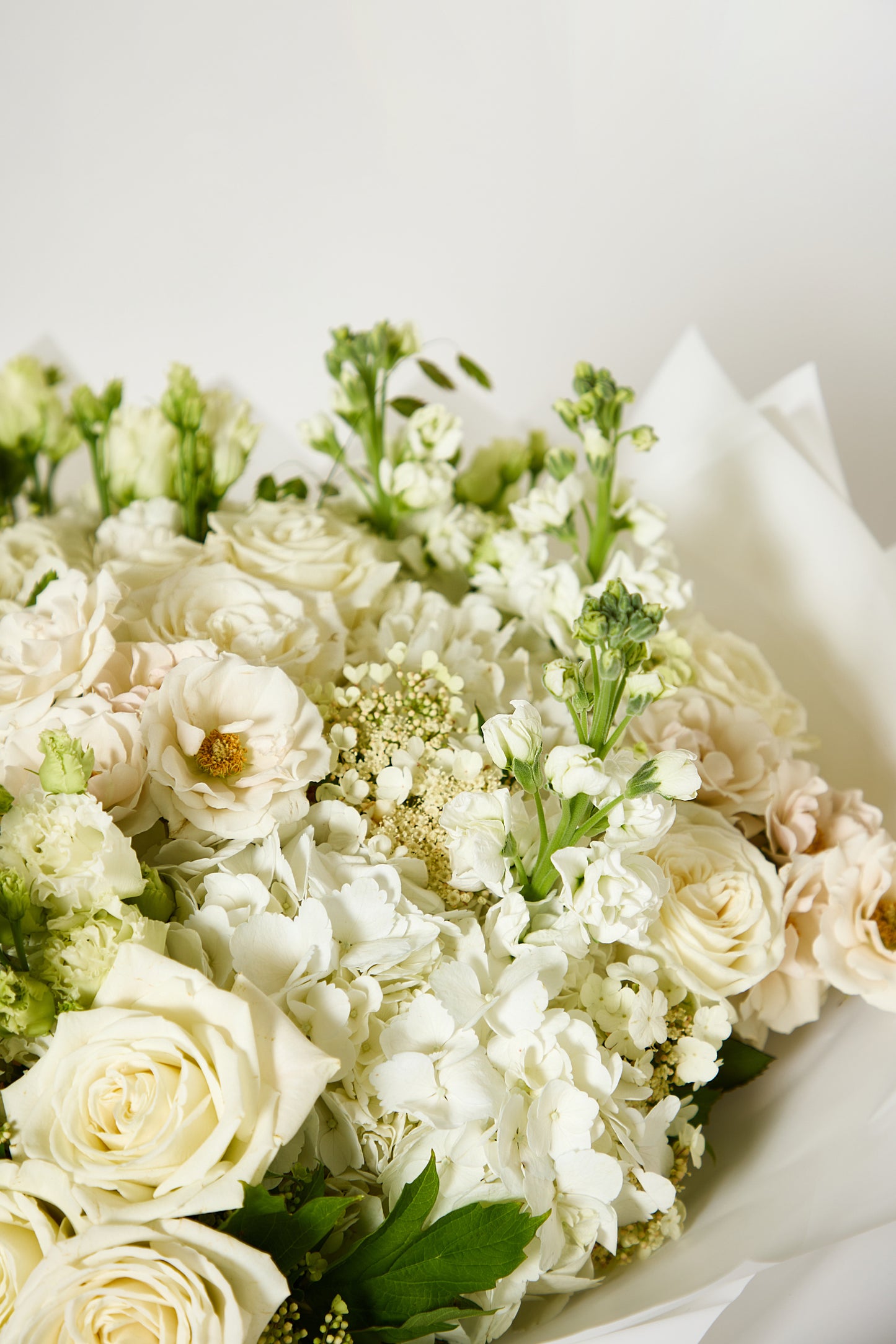 White Couture