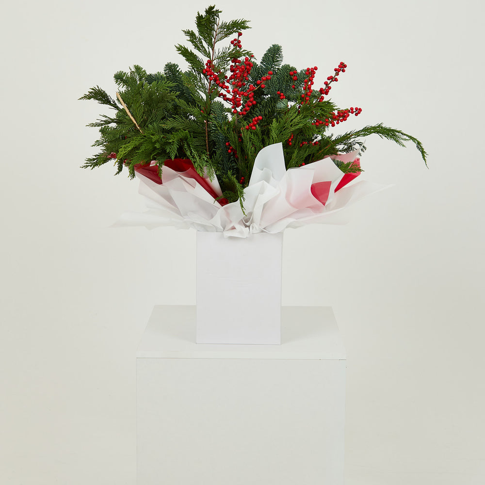 Jingle Belle Foliage