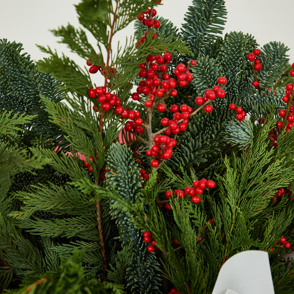 Jingle Belle Foliage