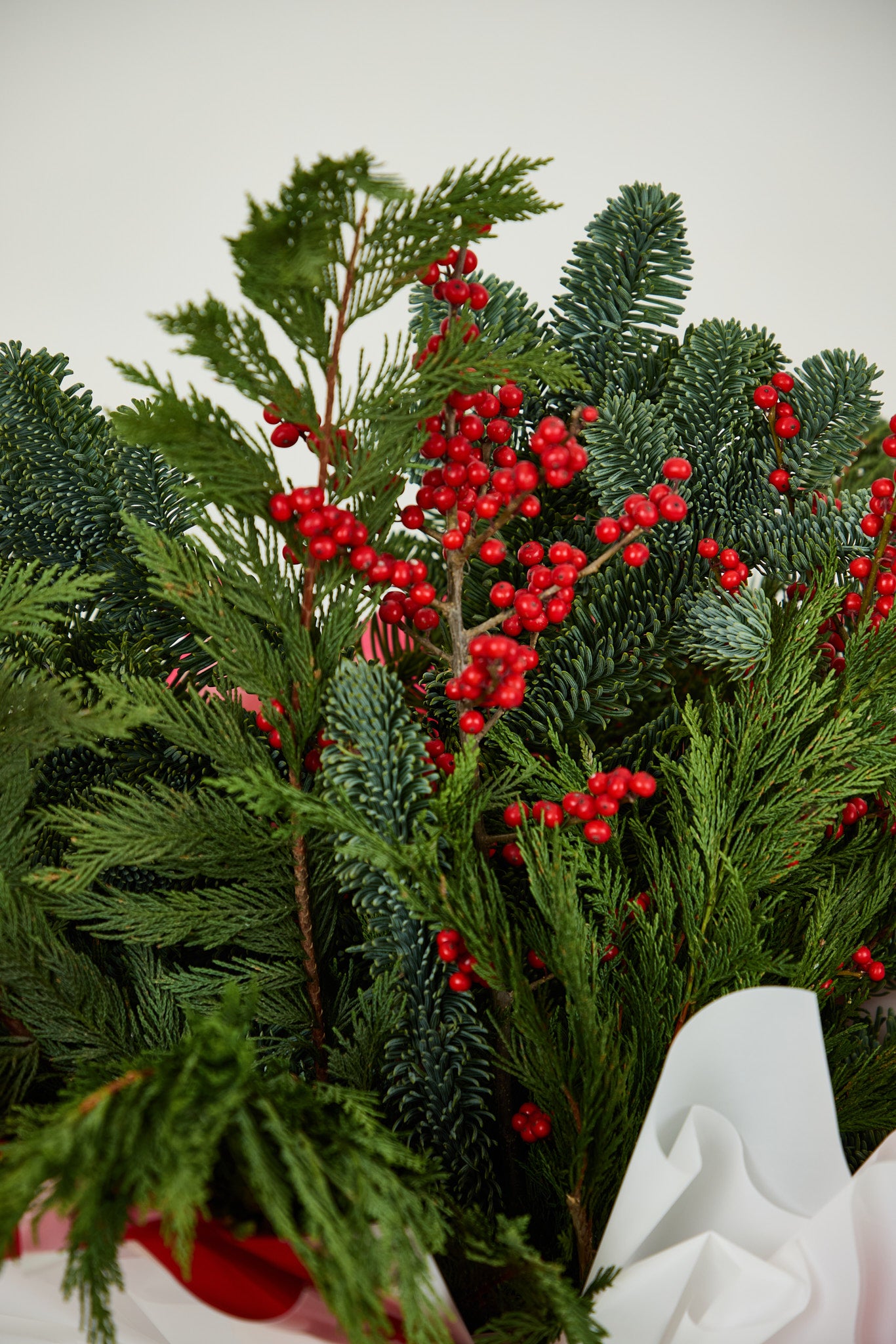 Jingle Belle Foliage