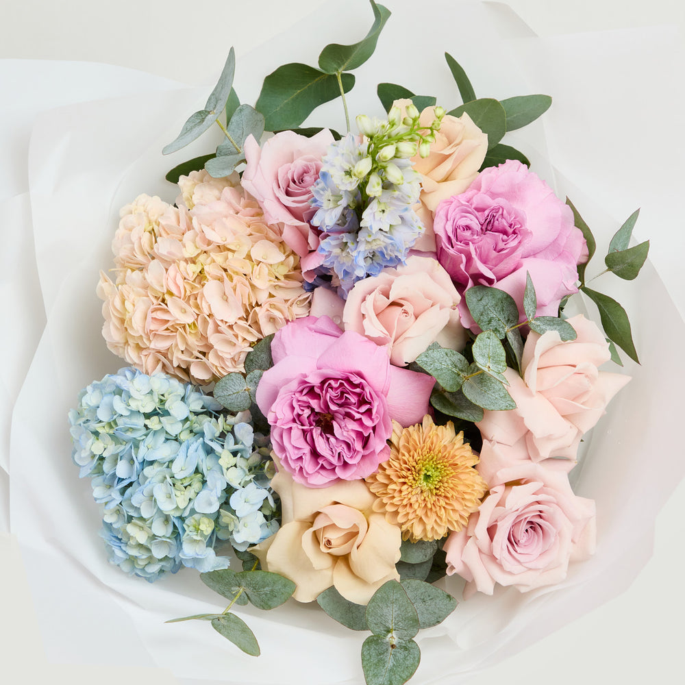 
                  
                    Pastel
                  
                