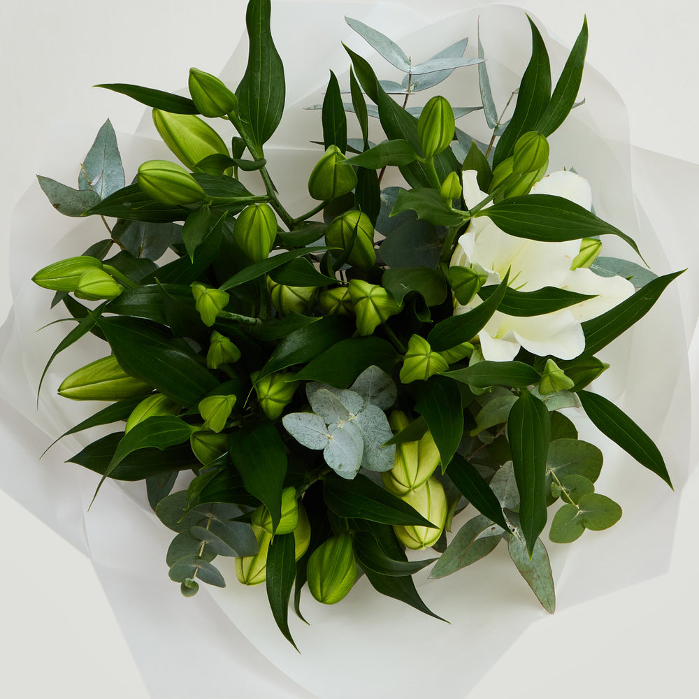 Lillies