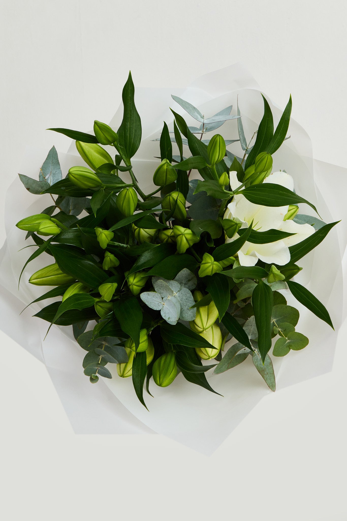 Lillies