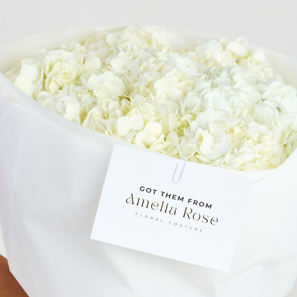 
                  
                    Hydrangeas in White
                  
                