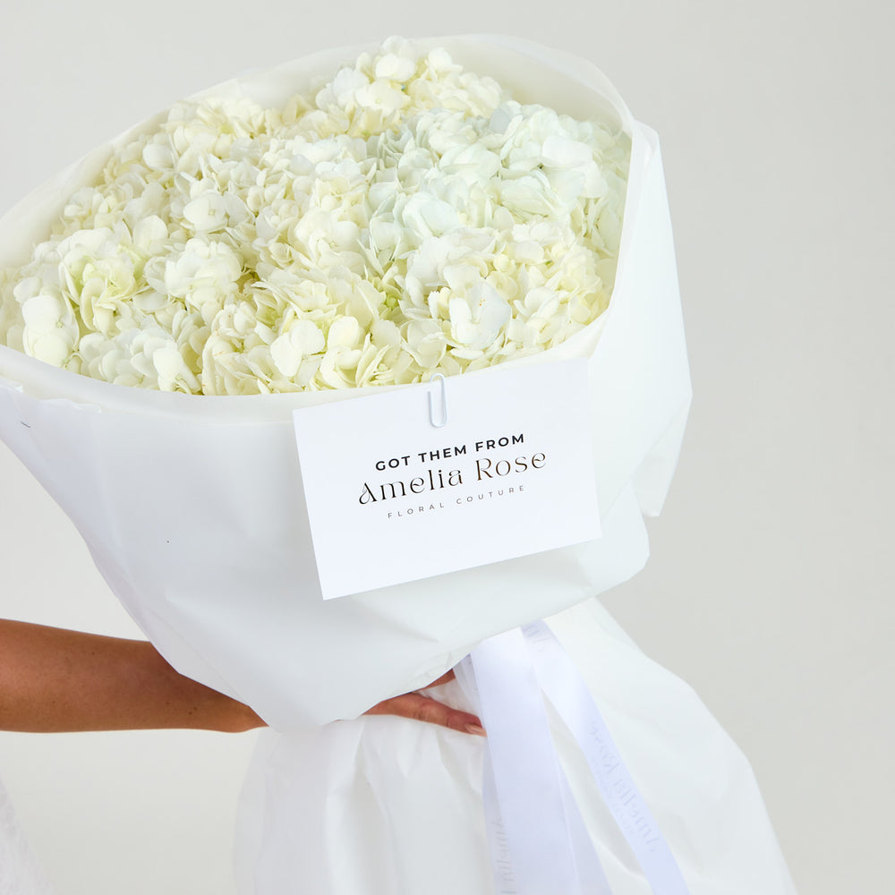 Hydrangeas in White
