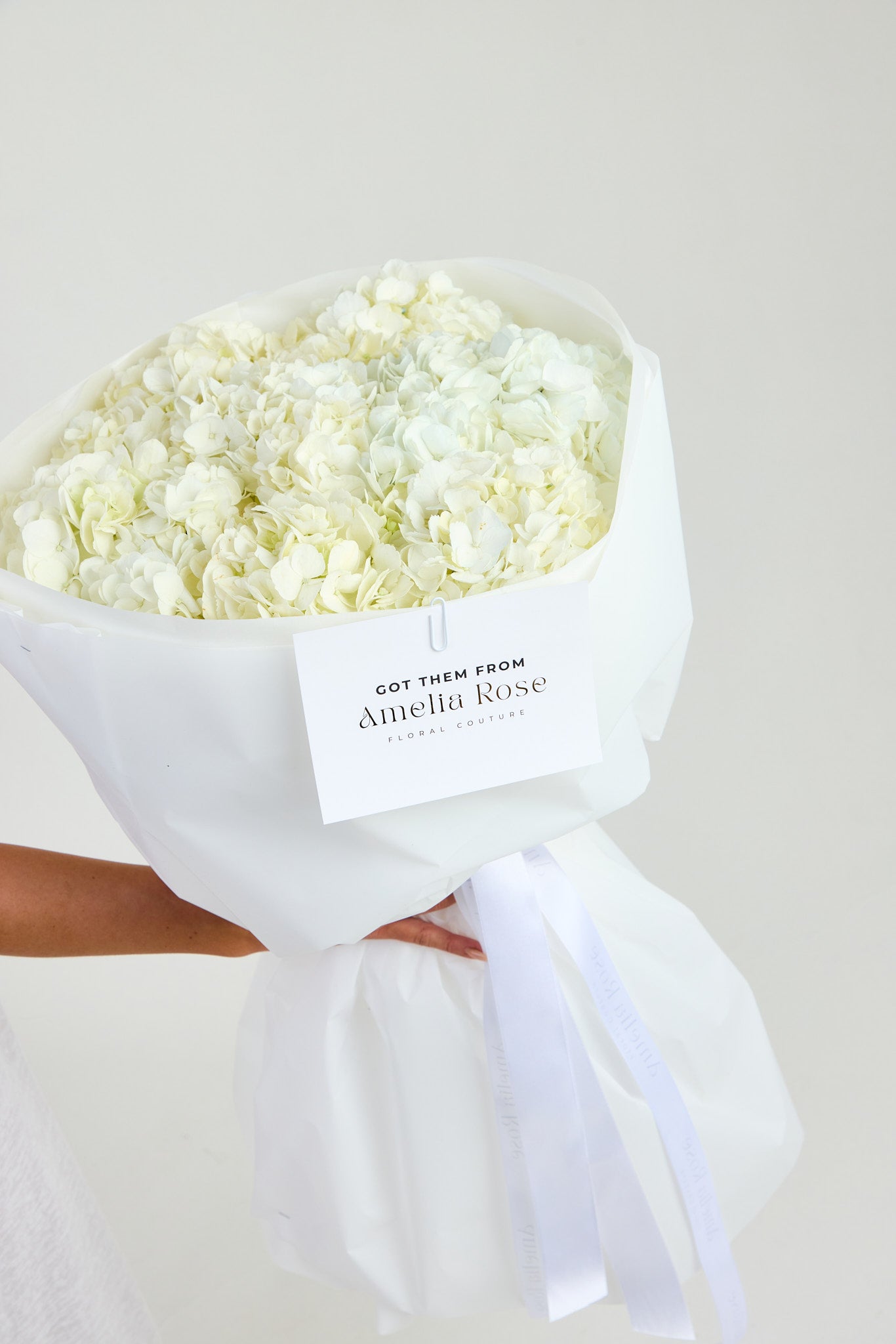 Hydrangeas in White
