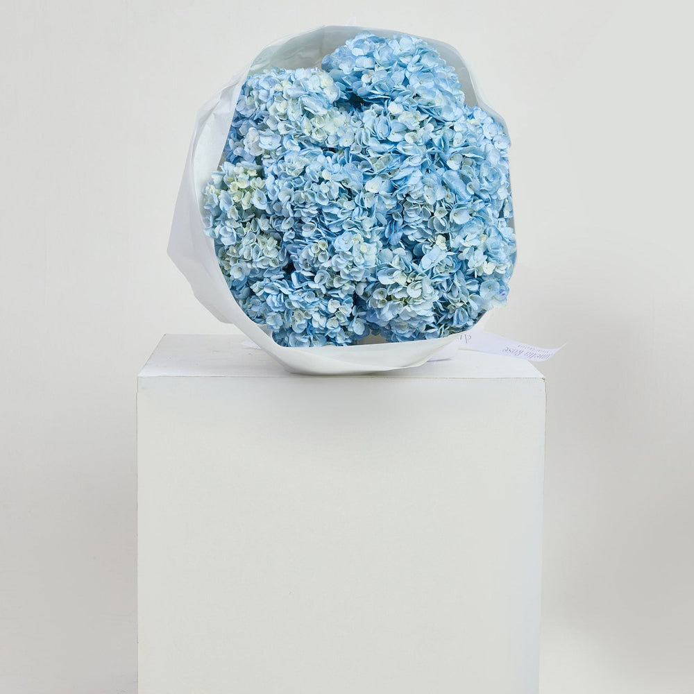 Hydrangeas in Blue