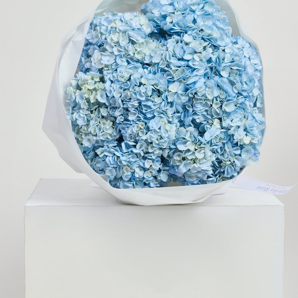 Hydrangeas in Blue