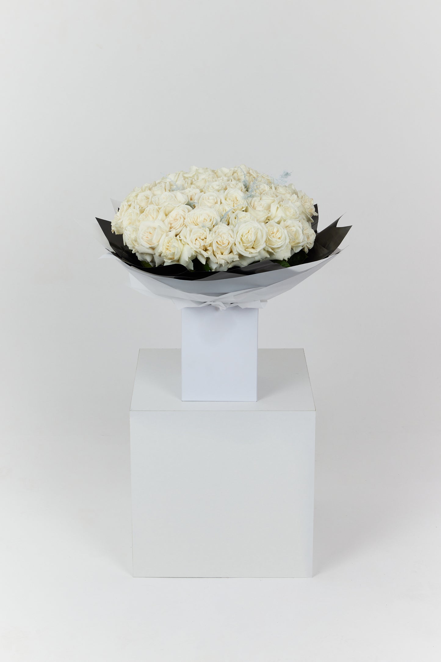 50 White Roses