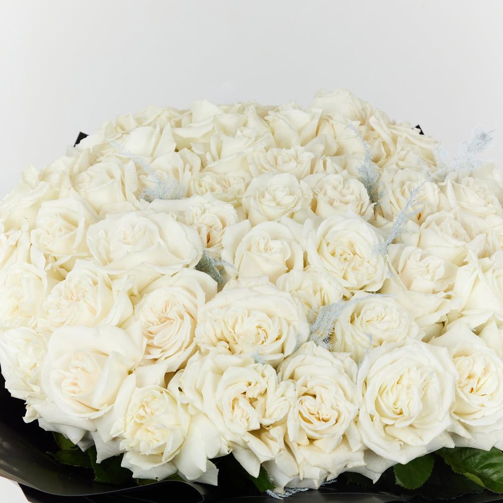 50 White Roses