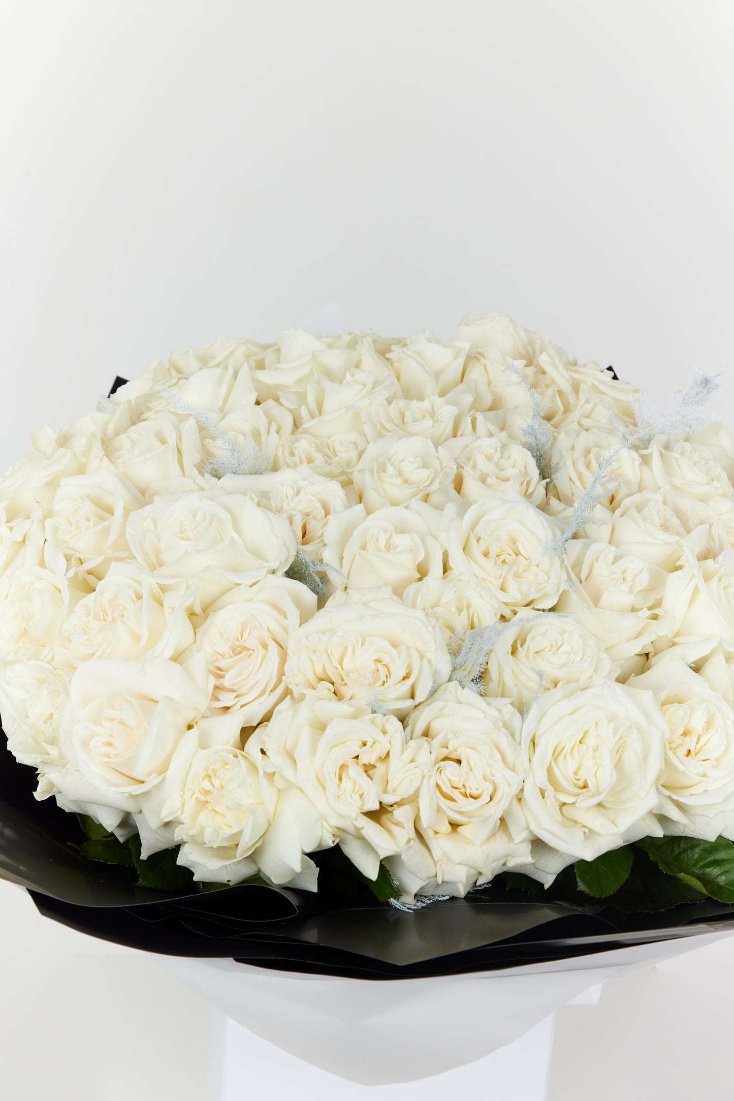 50 White Roses