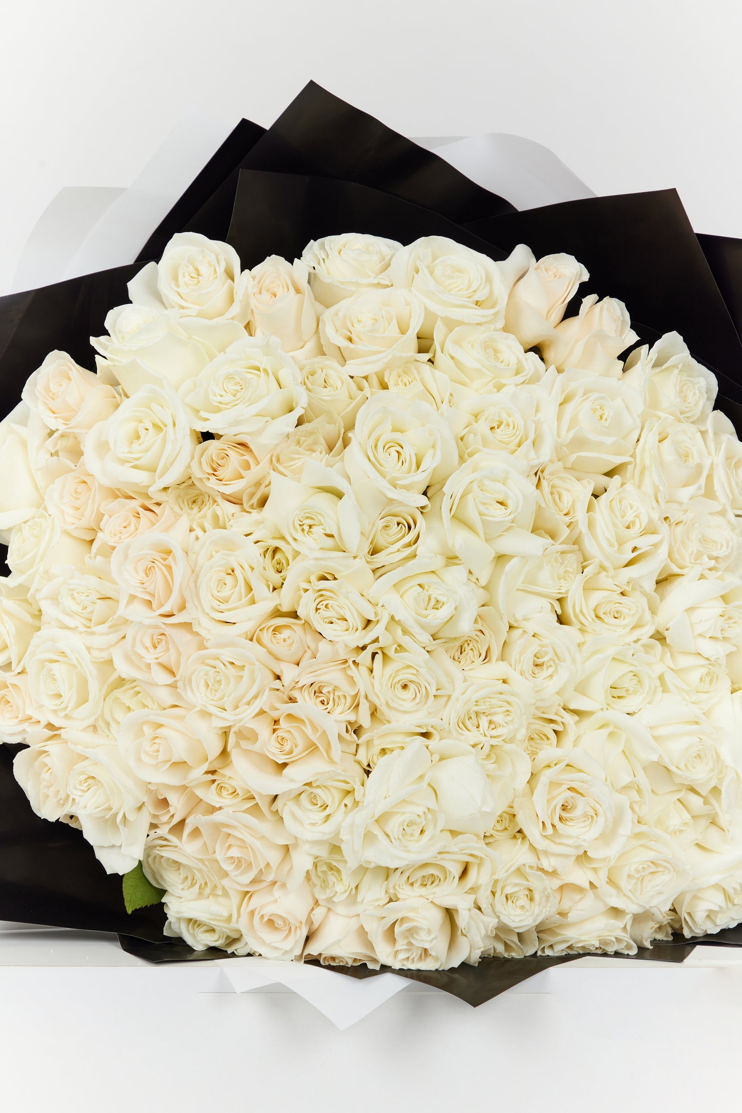 100 White Roses