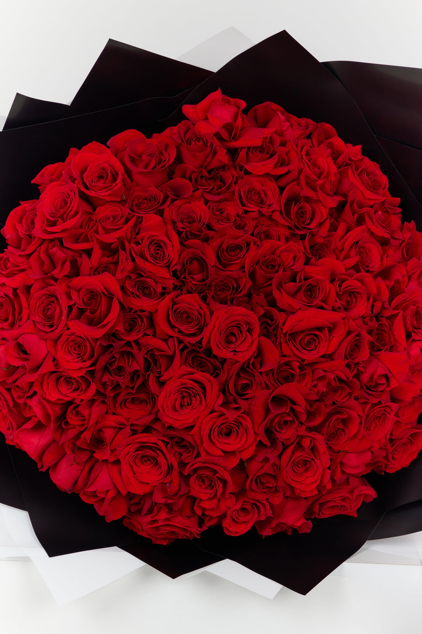 100 Red Roses