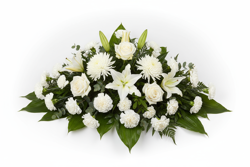 PUT IT IN A WHITE STUDIO LOCATION WITH PLAIN WHITE BACKGROUND